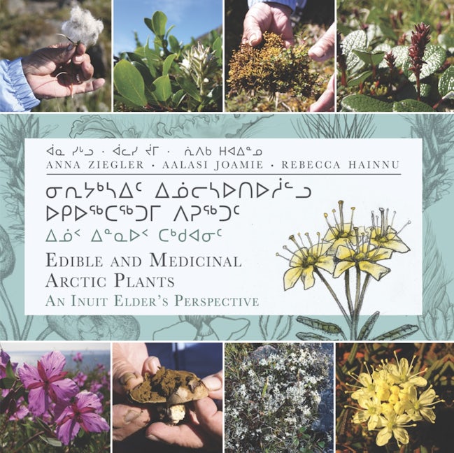 Book cover image for Edible and Medicinal Arctic Plants ISBN: 9781772271706